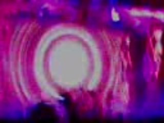 A VER SI PUEDEN EN EL GRAN REX