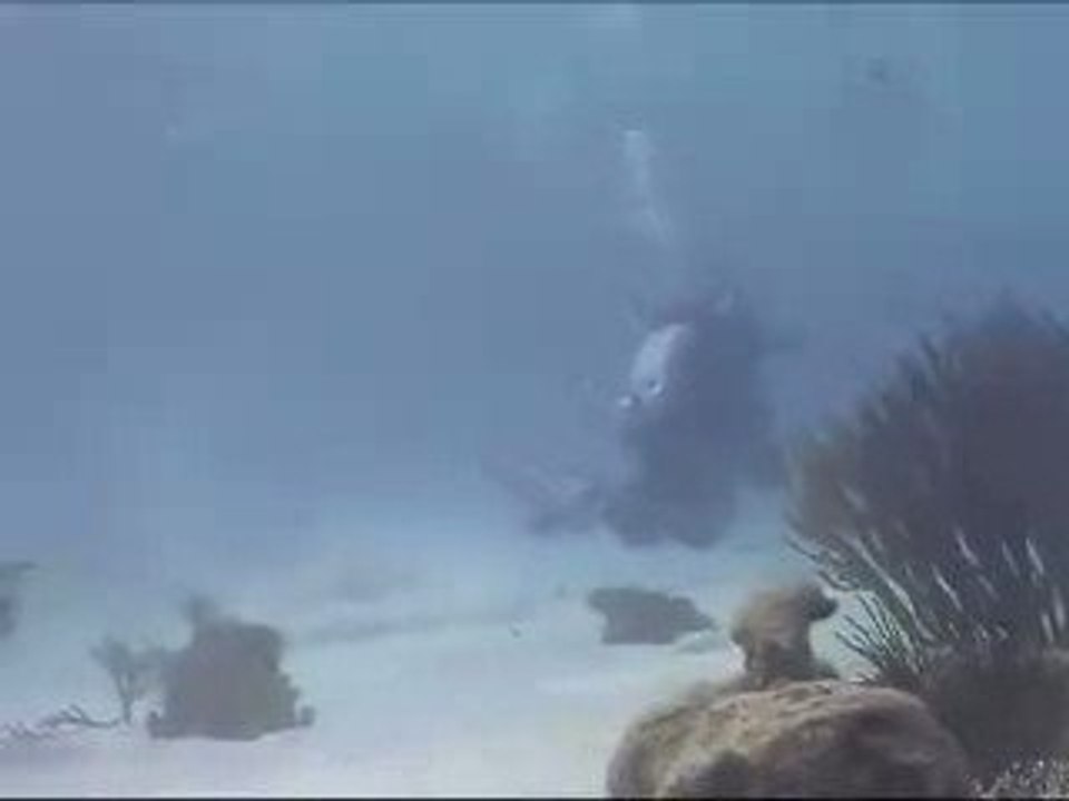 Rebreather swimming