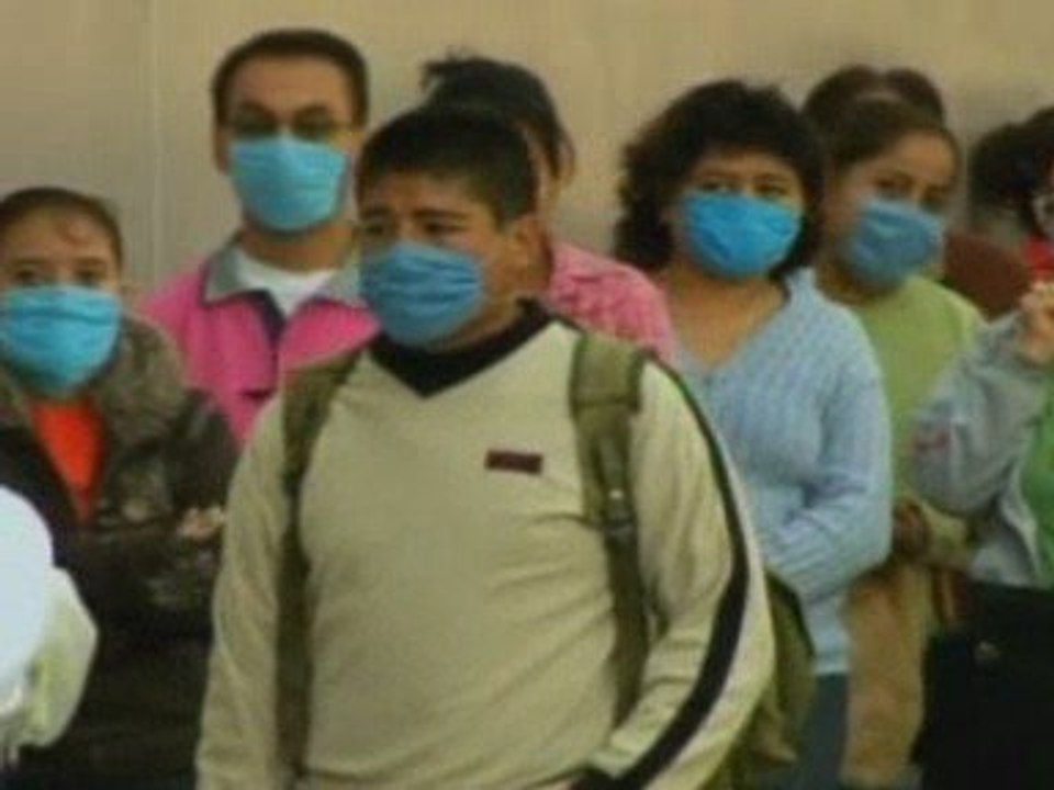 Swine flu leaflets to be delivered