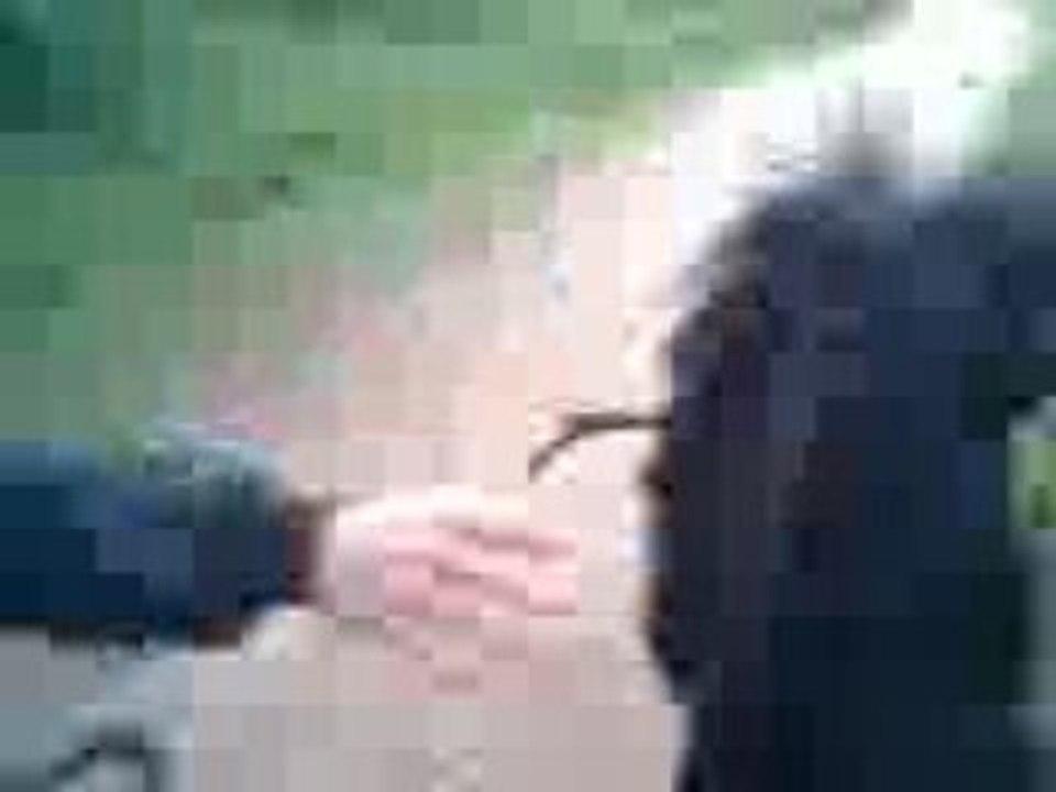 Morue