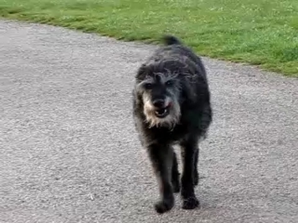 Lallie, allée François Peron, Les Minimes, 28 avril 2009