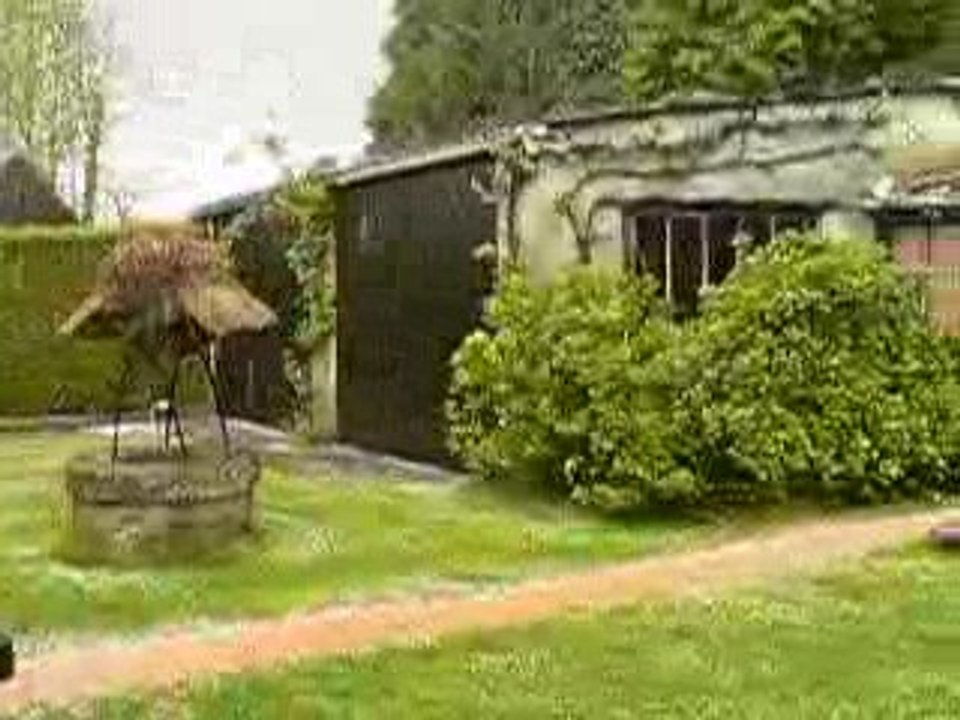 Déluge de giboulés dans le jardin