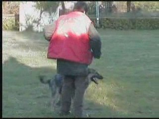 Diwan le 28 avril 09