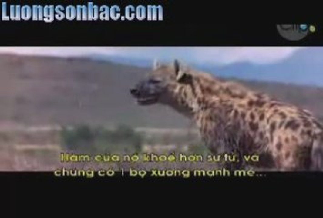 Den Thuong De Cung Phai Cuoi 3 - Tap 1_chunk_1_chunk_2