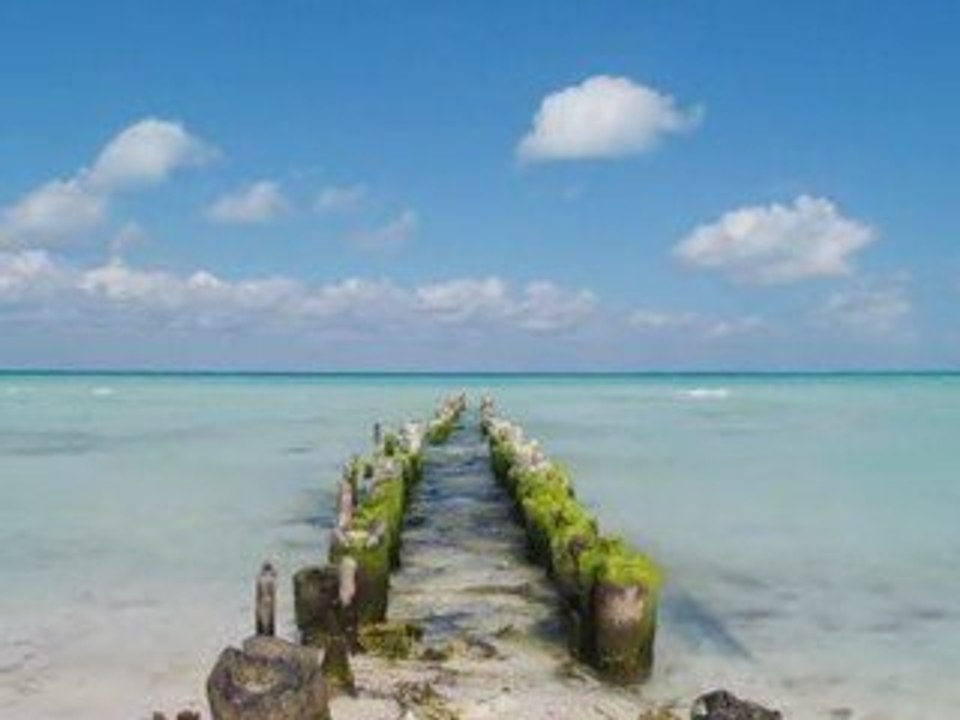 SELECTION CHRISTINA VIERRA