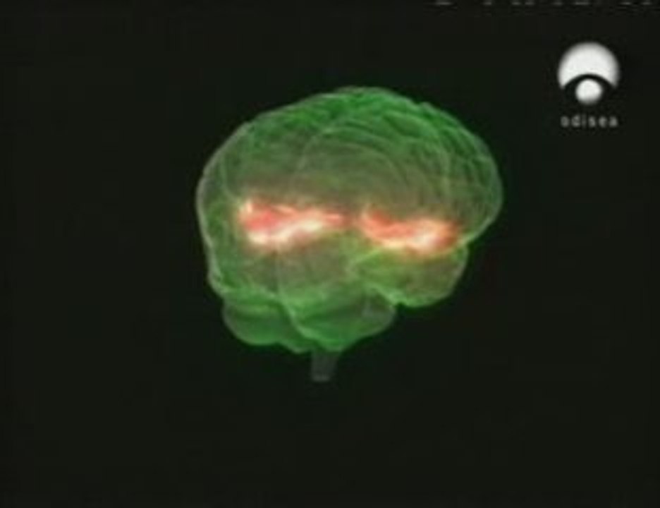 Cerebro y lenguaje: Diferencias de genero