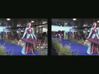 Reflets du Comptoir Suisse 2007