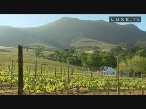 Le Vin de Constance en Afrique du Sud