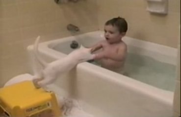 Chaton dans la baignoire