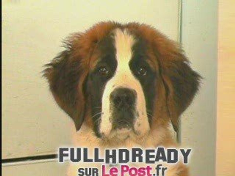 Les provocation de Fofana au procés Halimi [news] Fr2 290409