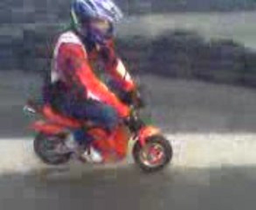 Coco en pocket (indoor)