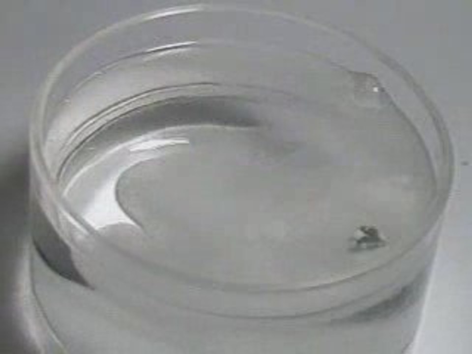 Lithium dans l'eau