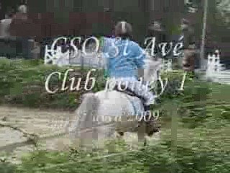 CSO St Avé club poney 1