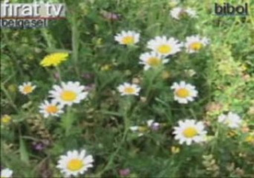 Konacık'ın Görünmeyen Yüzü