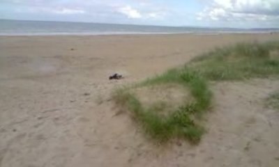 Savage XL de Tofeur à ouistreham