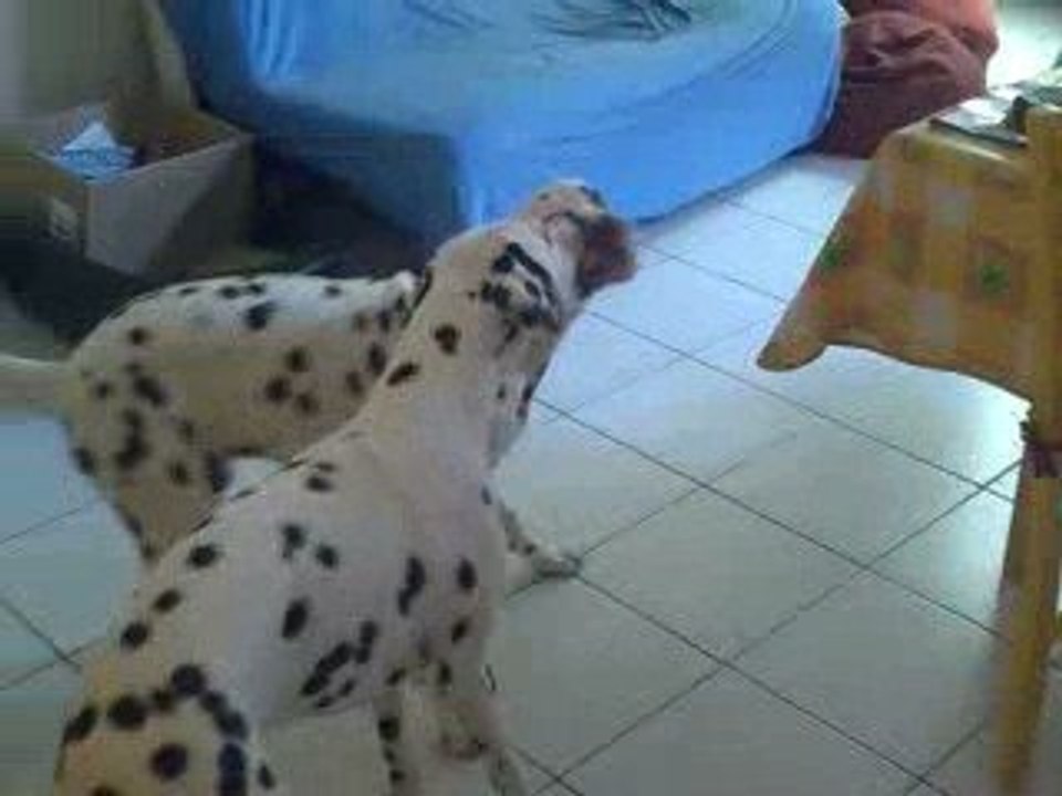 Angie et Kiss
