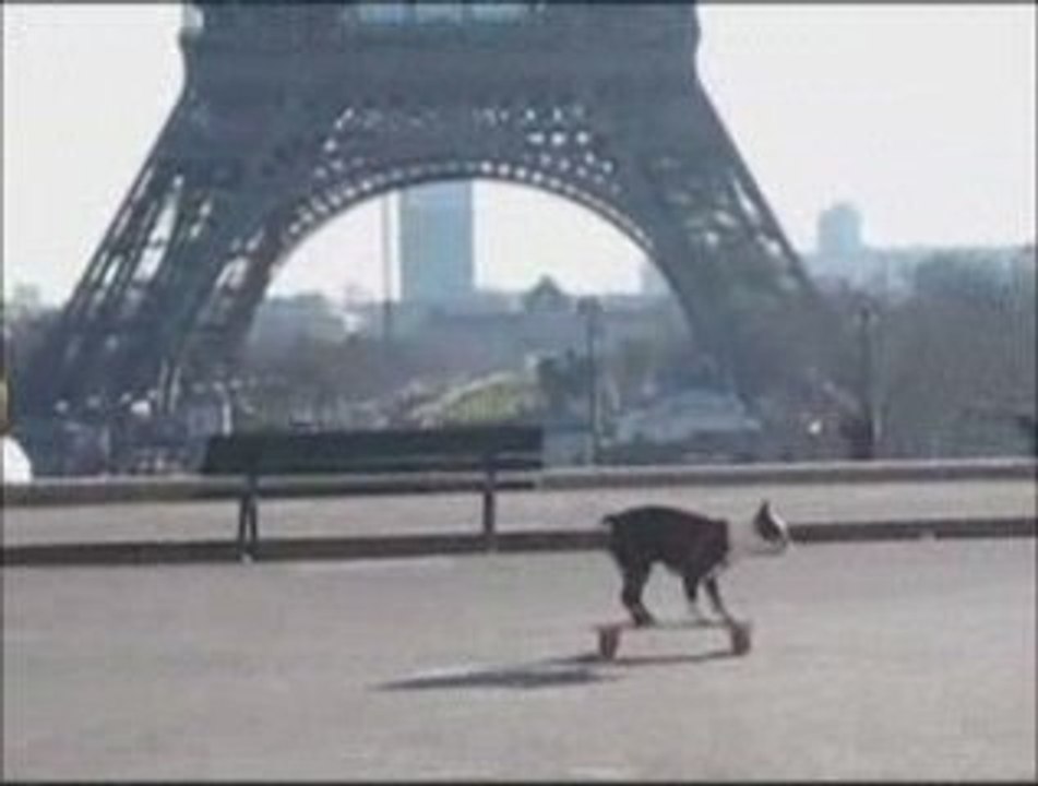 Neo Tuxedo at Tour Eiffel