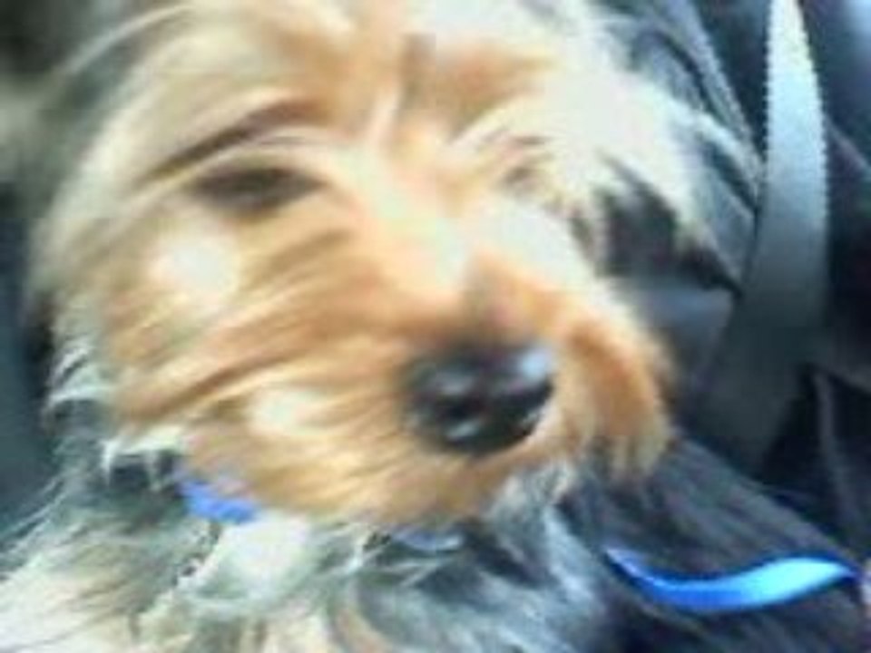 Mon bebe calin
