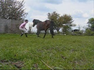 Derniere séance dans le pré =(