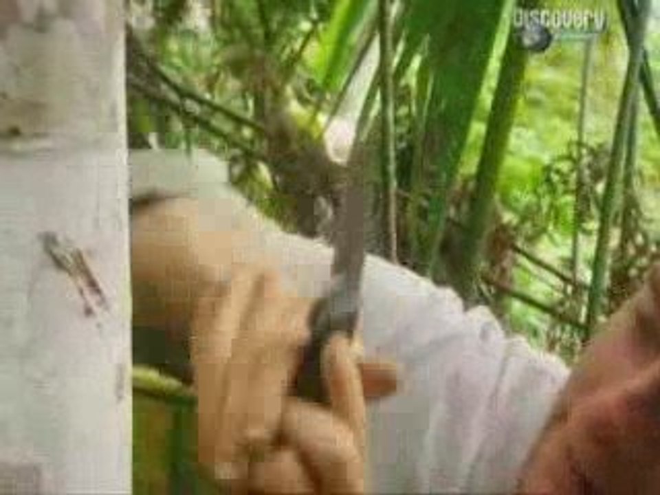 Seul Face à La Nature : Le bassin de l'Amazone Equateur 3/3