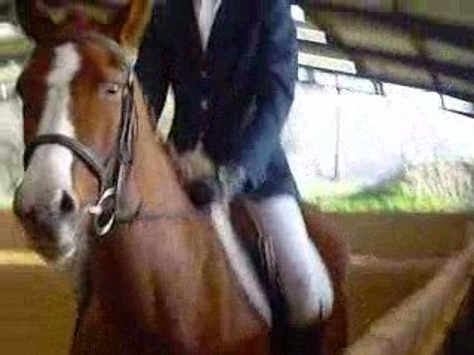 Queen et Nico en dressage