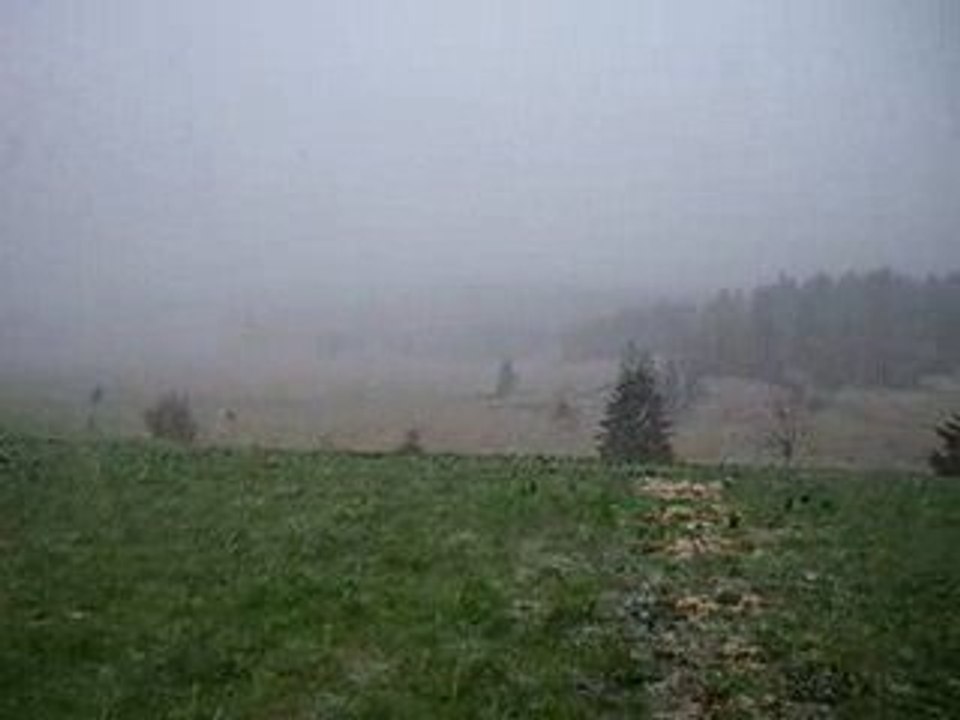 04 29 Neige du coucou