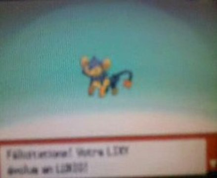 Evolution de LIXI shiney