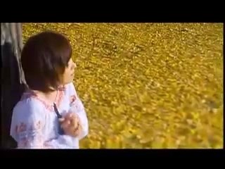 相沢巧弥子 － ハンモック