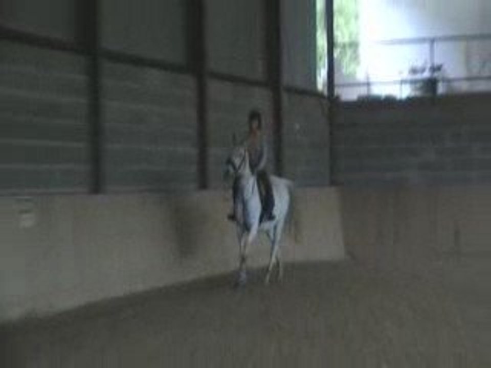 Vertical 90 (3)