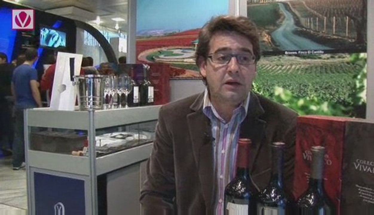 Dinastía Vivanco
