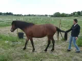 Reculer par la queue