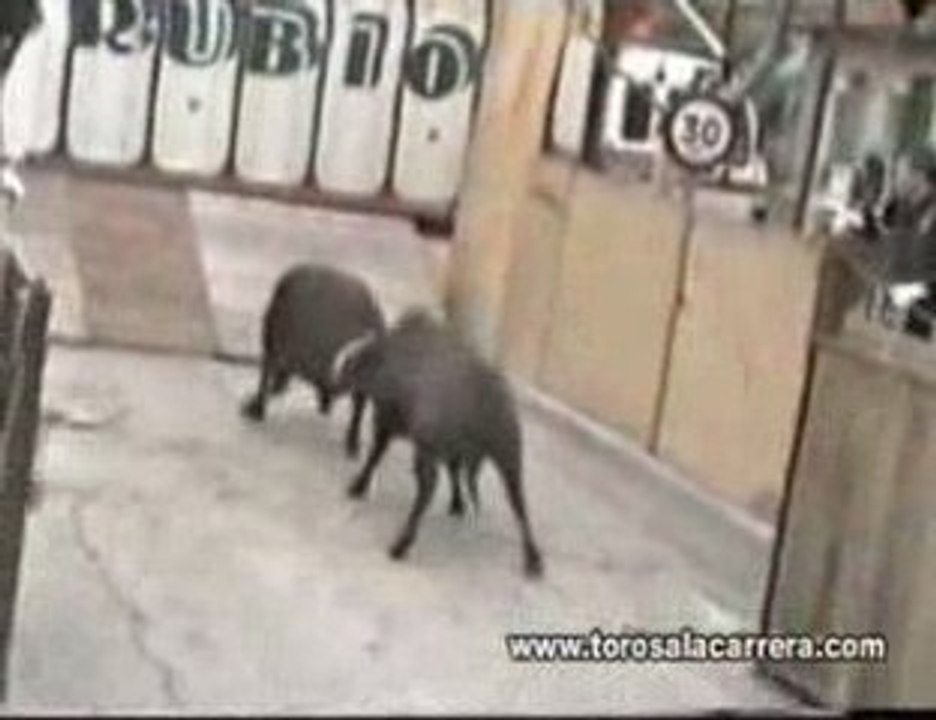 Encierros en Las matas 2004