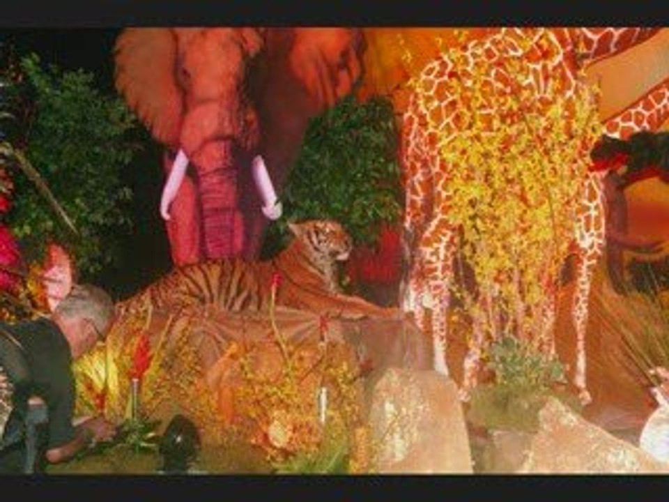 Zoological Wildlife Foundation