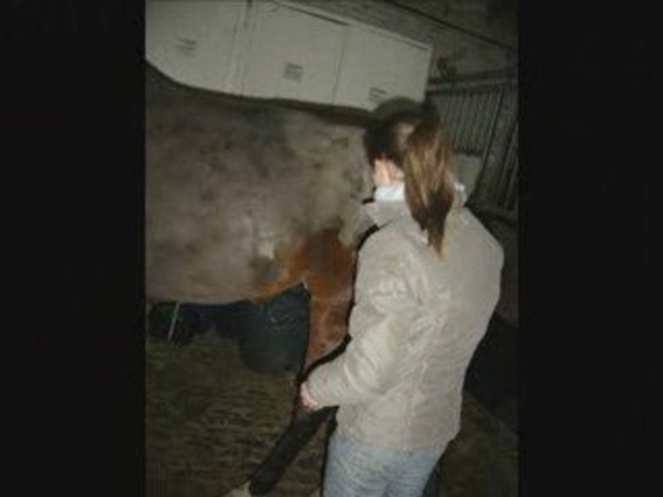 Osci, hivers 2008/2009