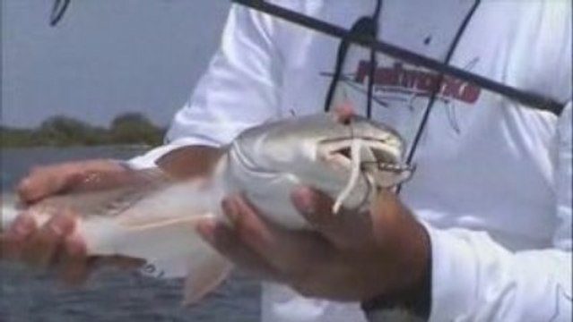 St Simons Island Fishing in georgia
