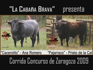 Cacerolito y Pajarraco, dos toros bravos