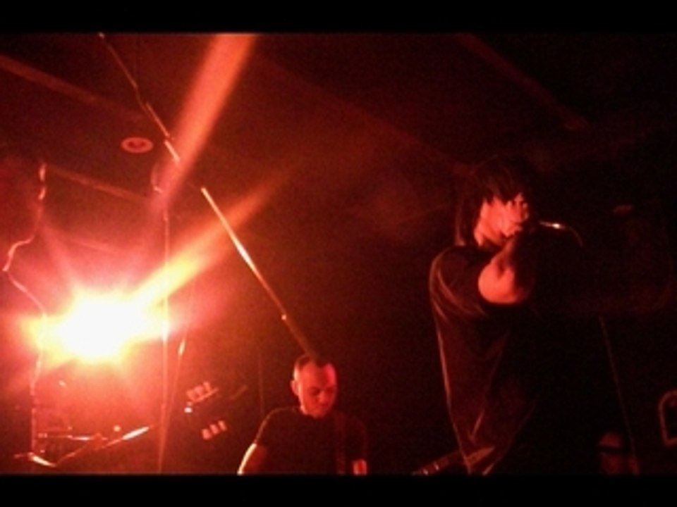 The Amsterdam Red Light District Live