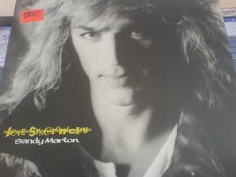 Sandy Marton - Love Synchronicity (long version)