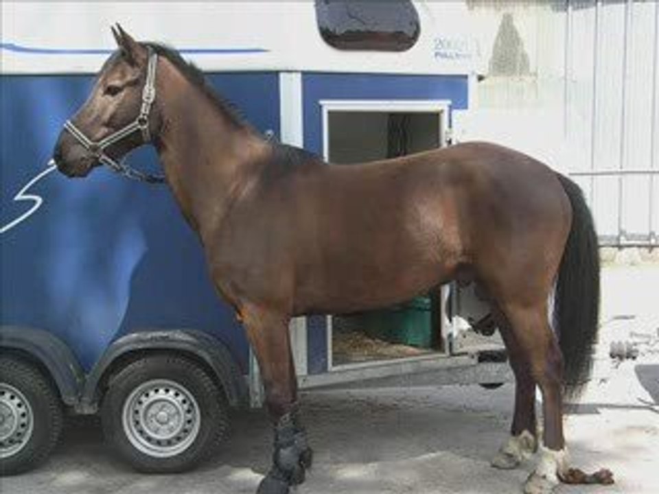 PonyGames Vrac' Loupinette