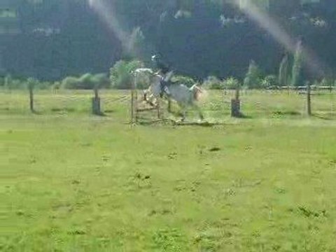 Parcours de Saut avec Pilou