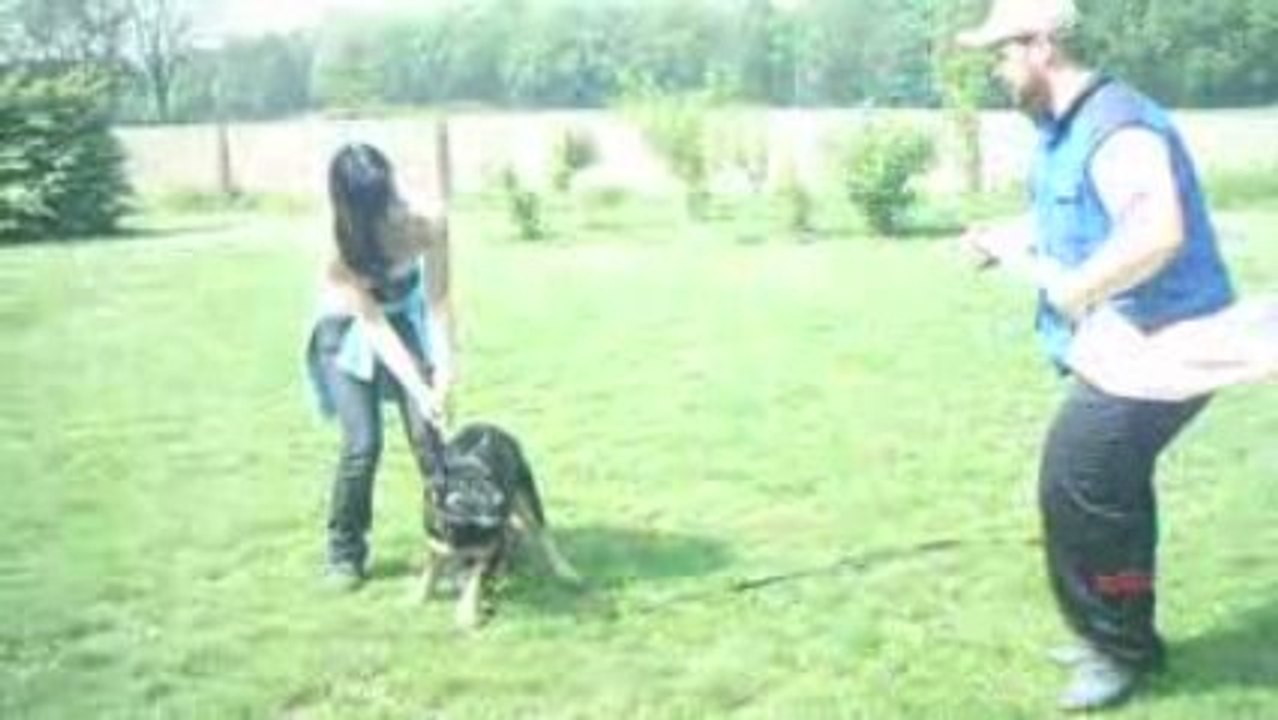 Evolet vom Sieben-Teufelsturm