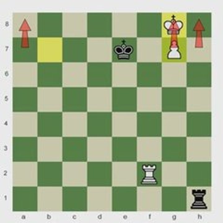 Rook Endgame's: Beginner to Master Part I