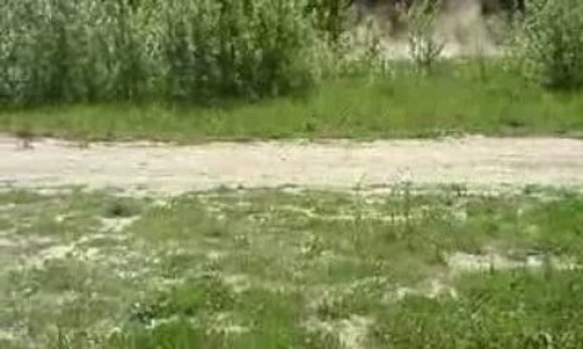 kart cross 600 hornet