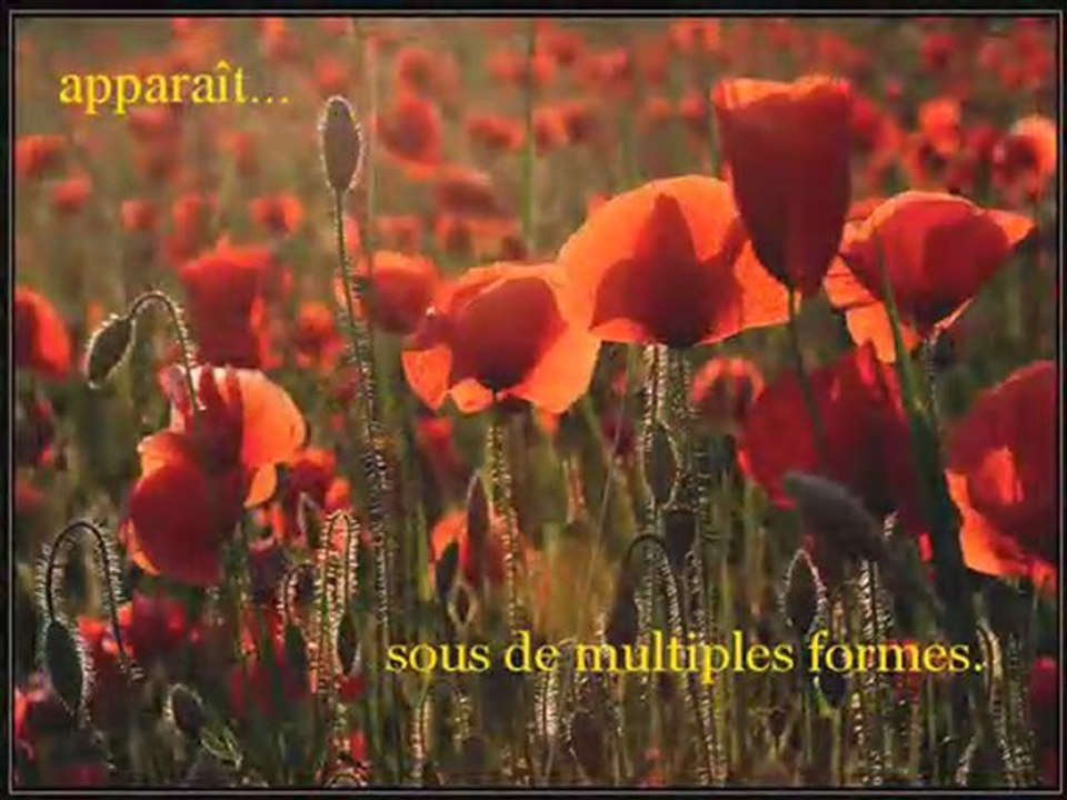 *Chaque* Matin*
