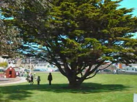 perros-guirec 01/05/2009