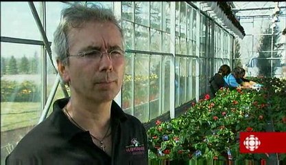 La semaine verte - La police des plantes