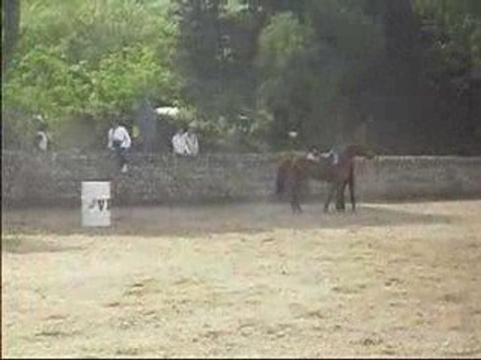 Chute De Cheval