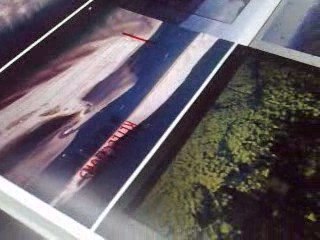 Understanding Superposition in Quantum Physics