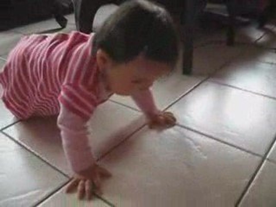 Lili 4 pattes
