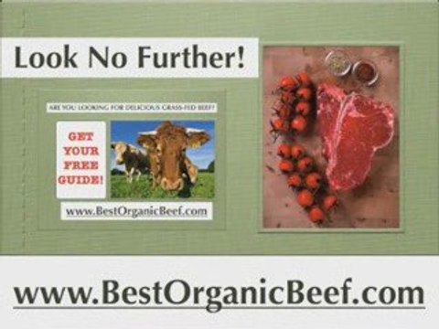 BestOrganicBeef.com grass fed organic beef, grass fed bee...